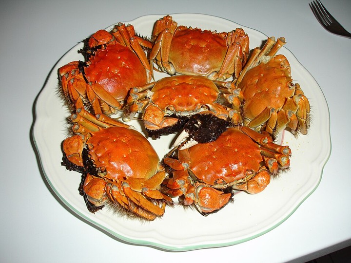 Steamed hairy crabs on a plate